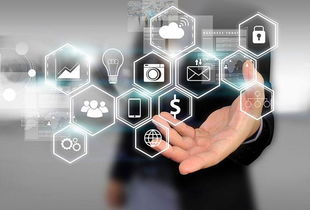 所志國(guó)軟文寫(xiě)作案例 不靠廣告靠口碑，誠(chéng)信服務(wù)成就電子商務(wù)新典范